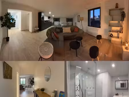 appartement de standing  meublé  vue loire