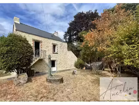 maison 4 pieces en pierres apparentes  en hameau