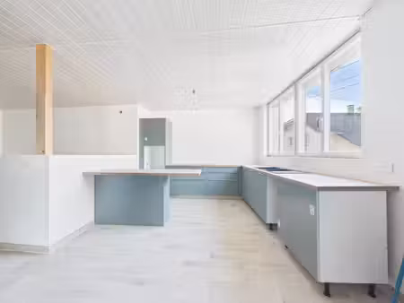 saint-pierre-de-soucy superbe loft rénové avec jardin et e