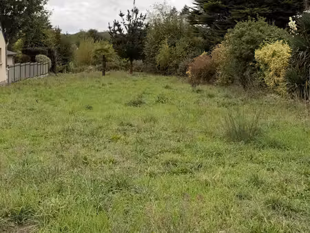 terrain constructible 557m2