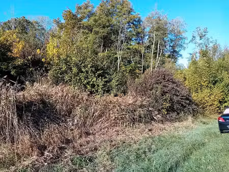 terrain saint georges motel 3450 m2
