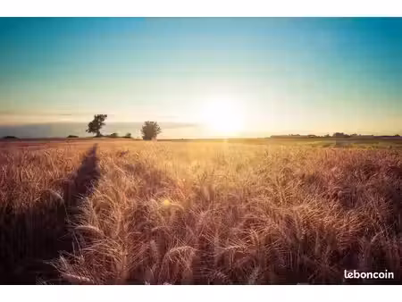 terrain 2 450 m² semuy