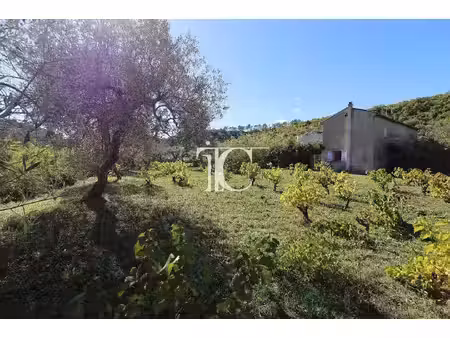 maison en pierre