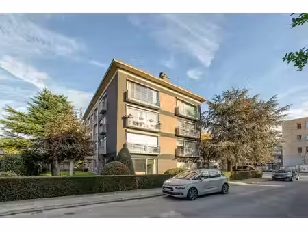 appartement te koop in hoboken met 3 slaapkamers