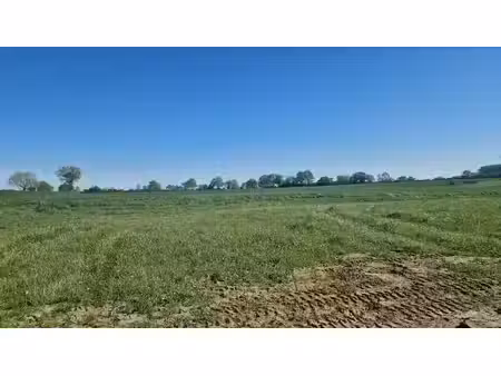 vente terrain 356 m² à montilliers (49310)  28 965 €