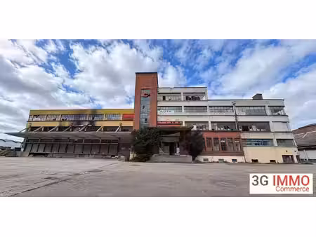 vente locaux professionnels 11000 m² à bonsecours (76240)  1 790 000 €