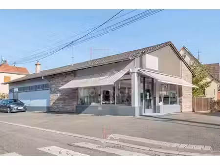 vente locaux professionnels 0 pièces 172.03 m² à haguenau (67500)  450 000 €