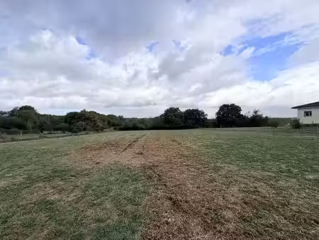 vente terrain 4047m2 castelnau-tursan 40320 - 50000 € - surface privée