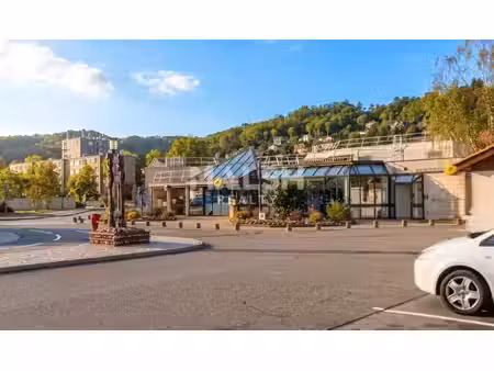 location commerce miribel 01700 372m²