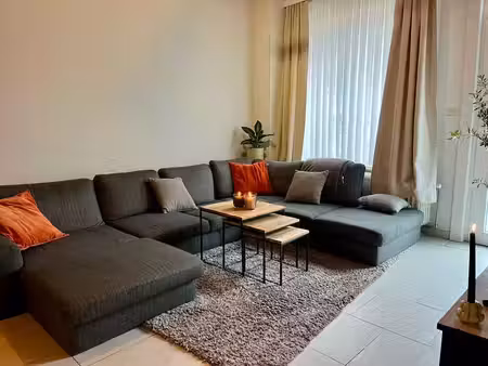 maison rénovée 4 chambres à vendre à vilvorde