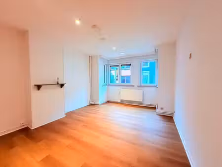 lumineux appartement 1 chambre à louer en plein centre