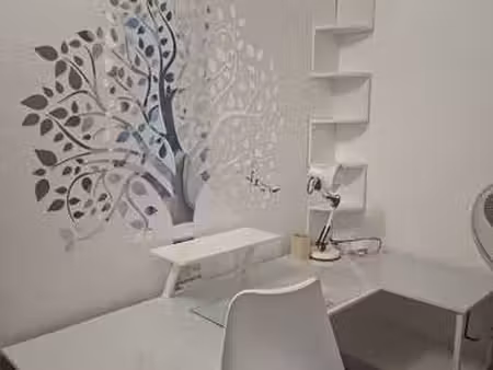 location appartement t1 meublé à lyon 5e (69005) : à louer t1 meublé / 10m² lyon 5e