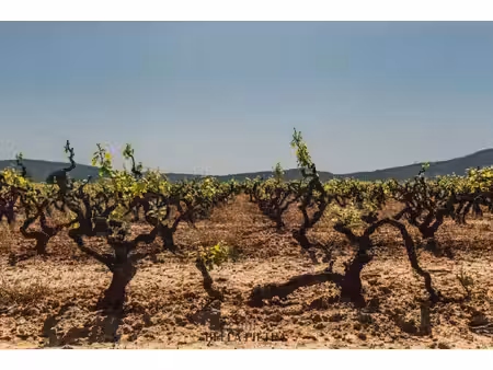 propriété à vendre à bordeaux