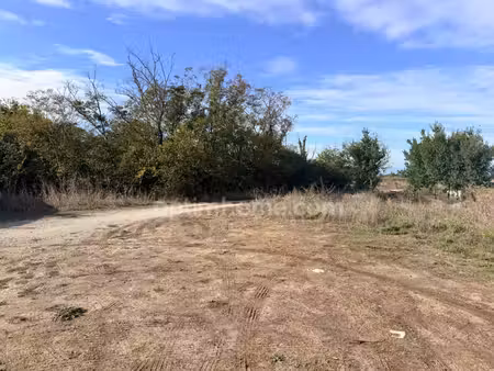 terrain d'exception au bois-plage-en-ré – un havre de paixt