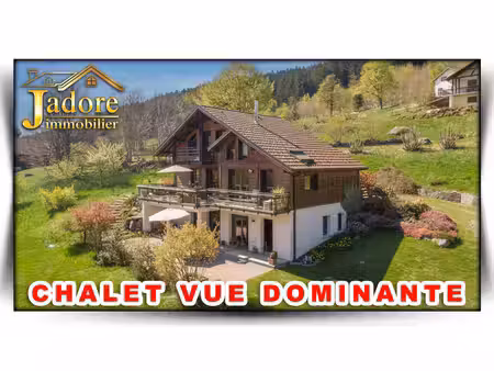 maison de luxe à vendre à gérardmer
