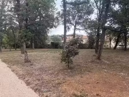 vente terrain 1000 m² à villaudric (31620)  119 500 €