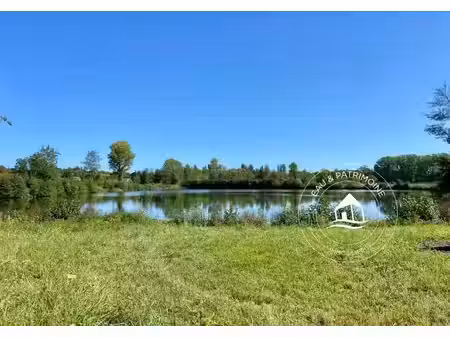 vente terrain 43400 m² à villeneuve-la-guyard (89340)  300 000 €