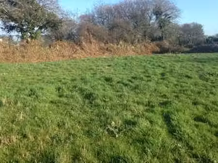 vente terrain à guipavas (29490) : à vendre / guipavas