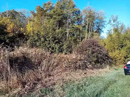 achat terrain 3 450m² st georges motel 27710