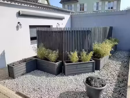 studio de 19m2 à louer sur colmar