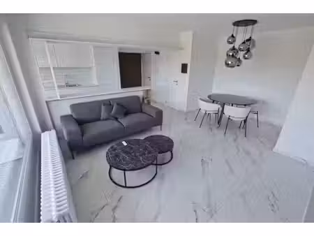 lycée français / dieweg : bel appartement meublé  terrasse