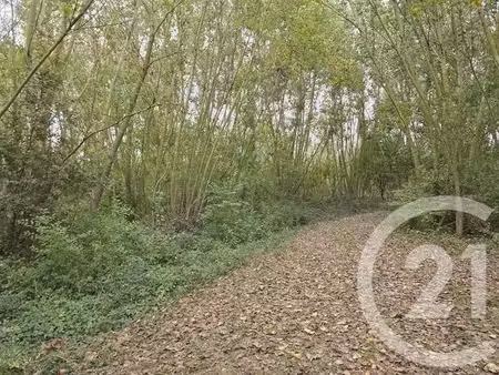 terrain à vendre - 64000 m2 - longages - 31 - midi-pyrenees