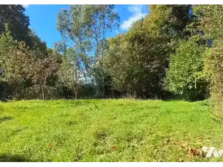 vente terrain 462 m² à pommeuse (77515)  79 000 €