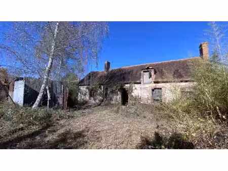 maison et grand terrain