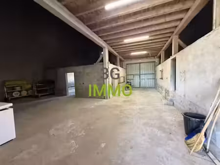 vente immeuble 230 m² à luneville (54300)  91 000 €