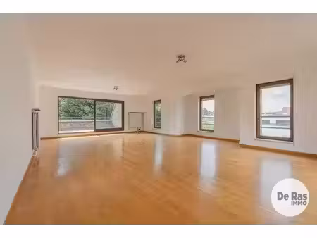 aalst - groot duplex appartement aan park met 3 slaapkamers