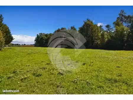 terrain nègrepelisse