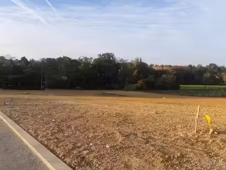 vente terrain 1000 m² à saint-jean-lherm (31380)  119 000 €