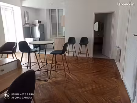 studio lumineux refait à neuf - annonay centre