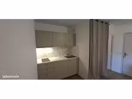 location t1 bis 32m2 rénové pau centre
