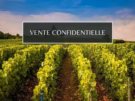 un château remarquable et domaine viticole au cœur du vignoble bergeracois