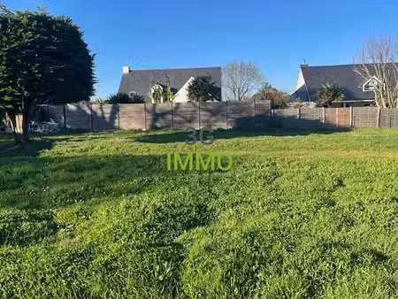 terrain constructible
