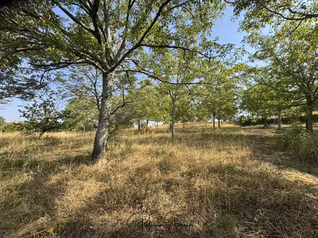 achat terrain 3 514m² castres 81100