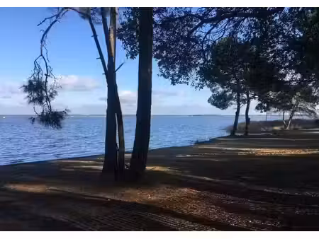 location maison 4 pièces à lacanau (33680)  900 €