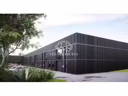 vente local d’activités rillieux la pape 69140 193m²