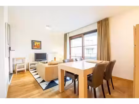 lumineux - magnifique appartement meublé (terrasse) - 1 ch.