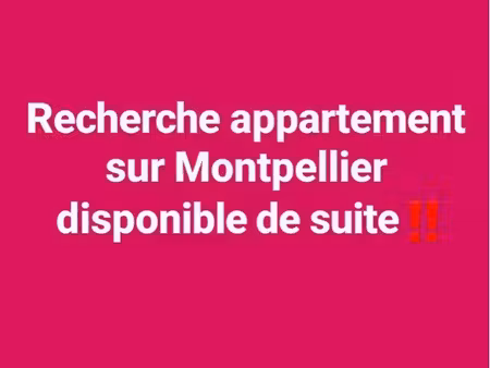 appartement t2 non meublé – 25 m² – montpellier gambetta – 1er étage