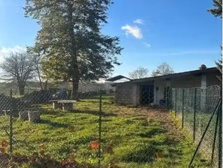 location terrain poules