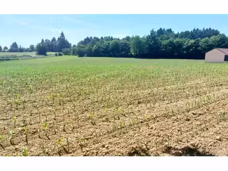terrain saint-yrieix-la-perche m² t- à vendre  29 000 €