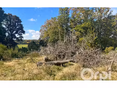 terrain trie-château m² t- à vendre  118 000 €