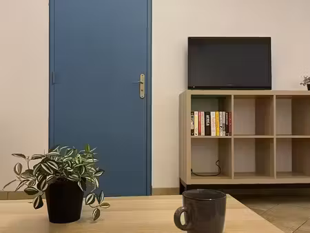 studio with separate kitchen