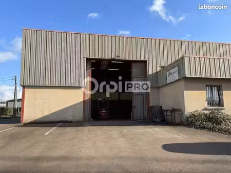 local d'activité 493 m²