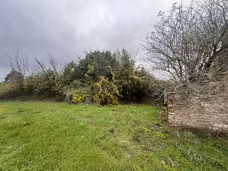 vente terrain  543.00m²  saint