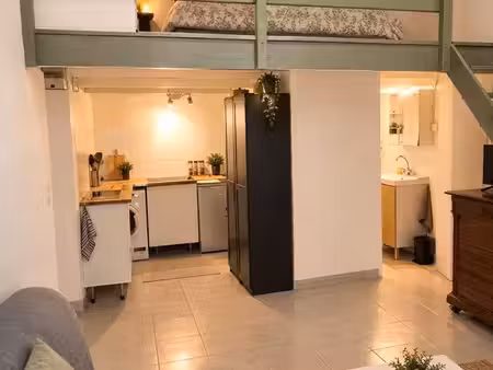 appartement meublé avec mezzanine - centre historique