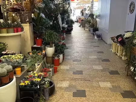 boutique 50 m² paris