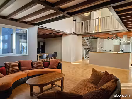 loft meublé 220m2  4 chbs (colocation possible)